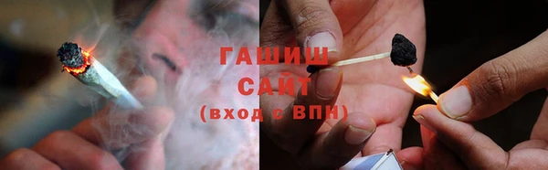 сатива Горно-Алтайск