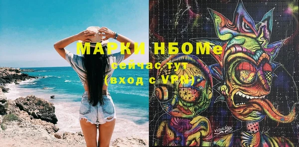 сатива Горно-Алтайск